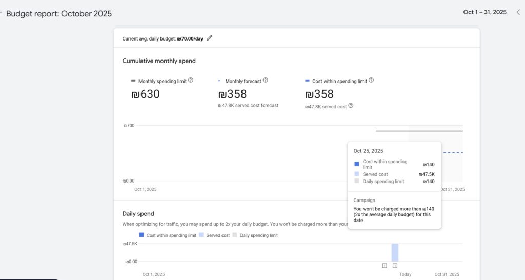 דוח תקציב קמפיין